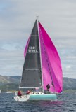 free bird gbr5190l whyw24 sun 800 5322